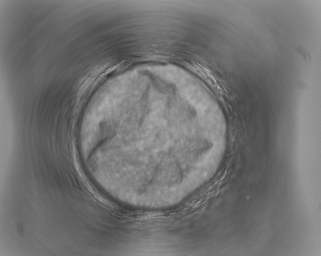 X0000115150097200912081355