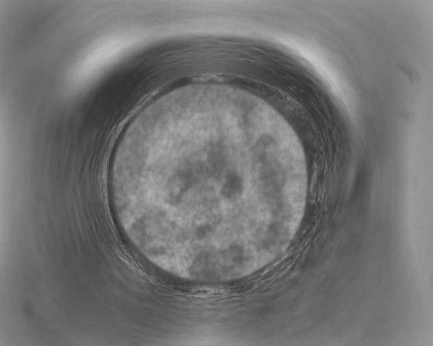 X0000115150099200912081355