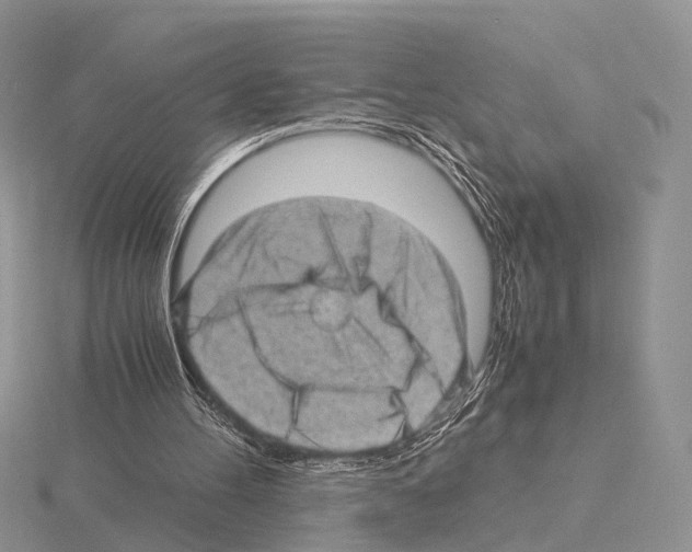 X0000115150100200912081355