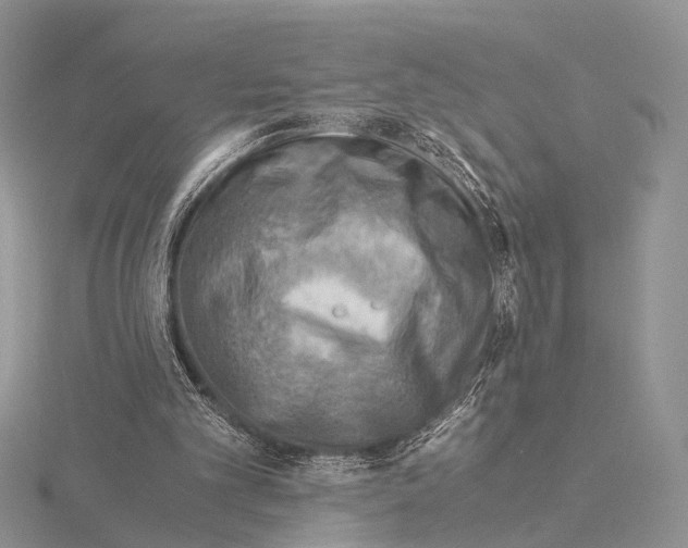 X0000115150101200912081355