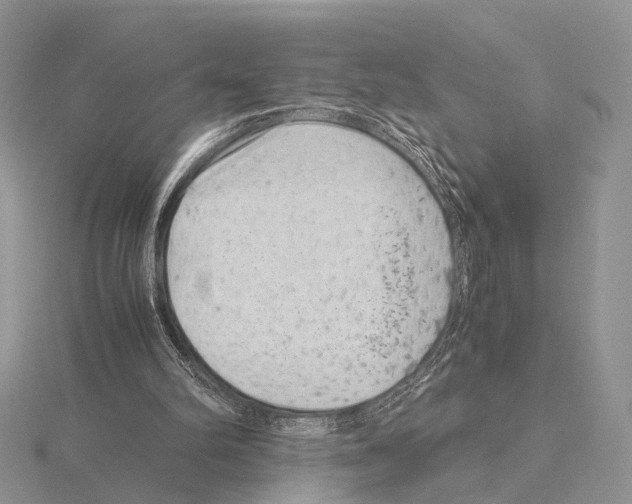 X0000115150102200912081355