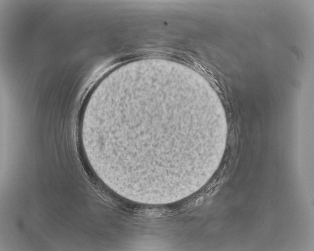 X0000115150103200912081355