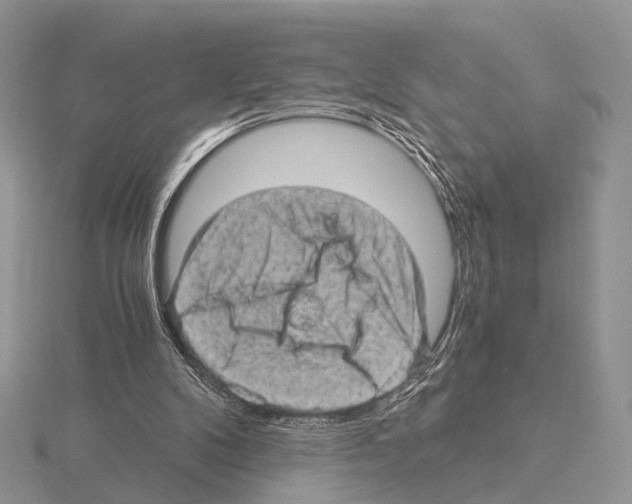 X0000115150104200912081355