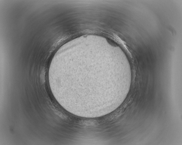 X0000115150106200912081355