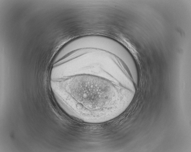 X0000115150107200912081355