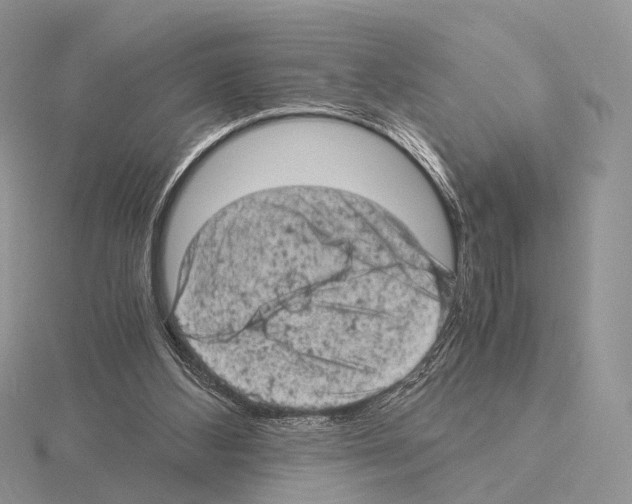 X0000115150108200912081355