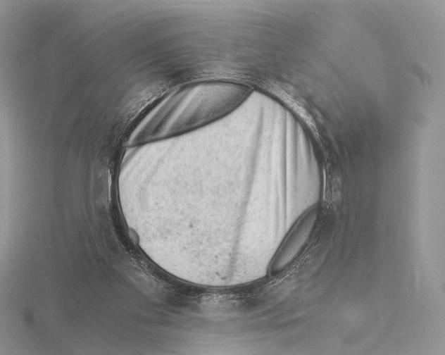 X0000115150109200912081355