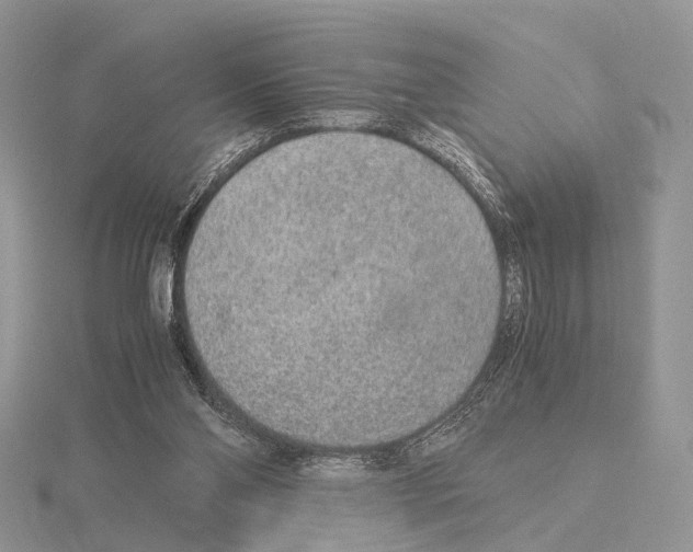 X0000115150110200912081355