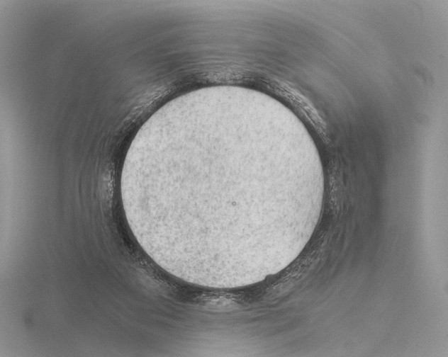 X0000115150113200912081355