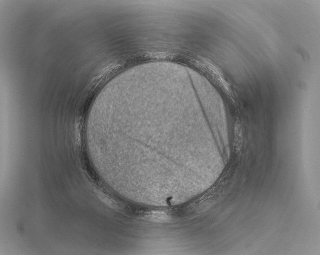 X0000115150114200912081355