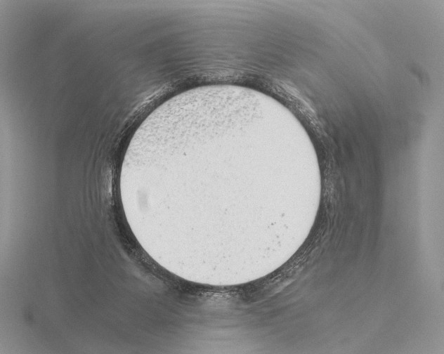 X0000115150115200912081355