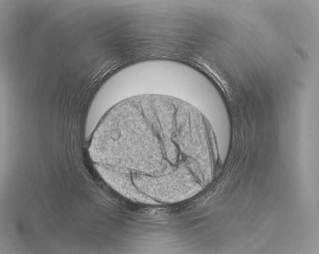 X0000115150117200912081355