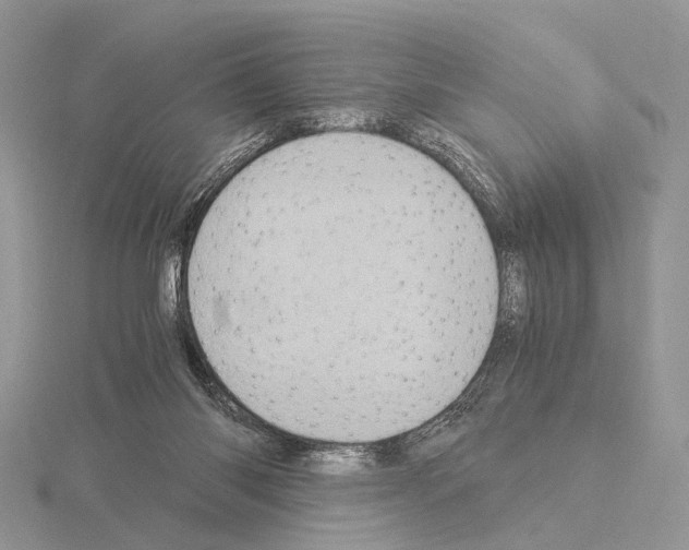 X0000115150118200912081355