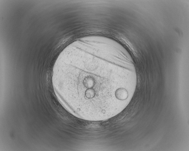 X0000115150119200912081355