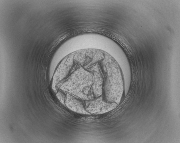 X0000115150120200912081355