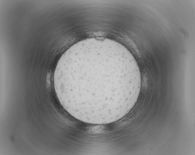 X0000115150122200912081355