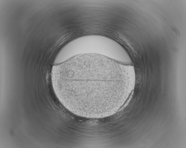 X0000115150124200912081355