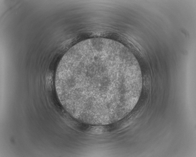 X0000115150127200912081355