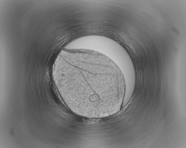 X0000115150128200912081355