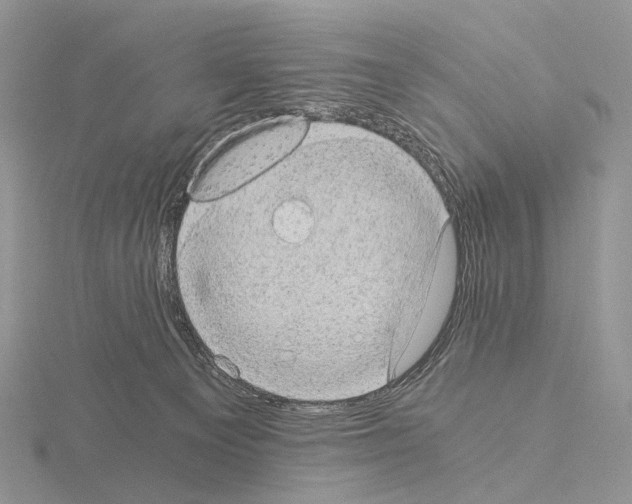 X0000115150129200912081355