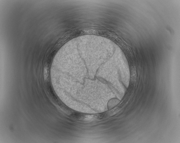 X0000115150130200912081355