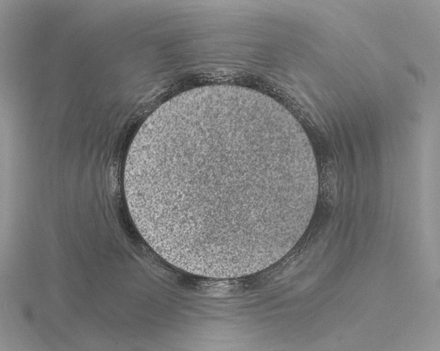 X0000115150131200912081355