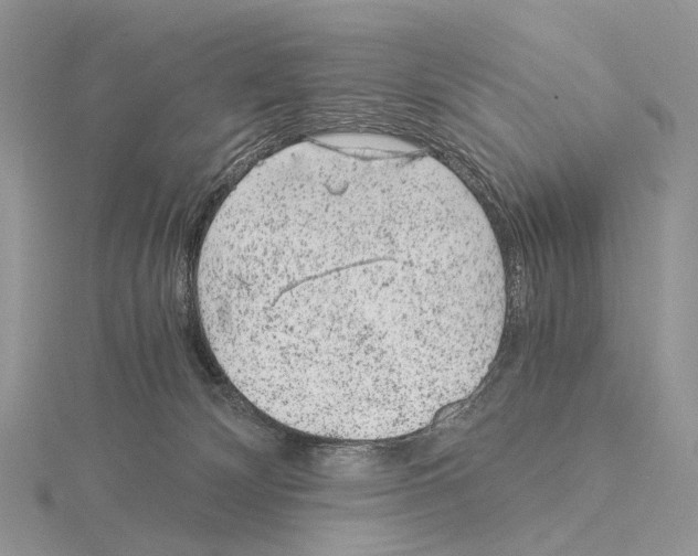 X0000115150132200912081355