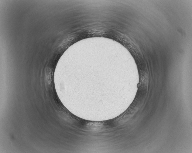 X0000115150133200912081355