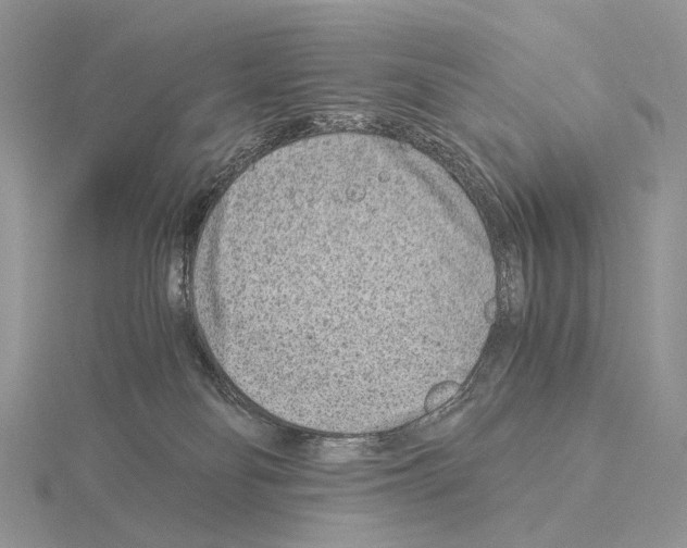 X0000115150134200912081355