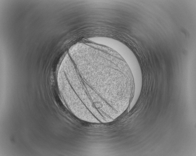 X0000115150137200912081355