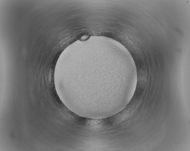 X0000115150139200912081355