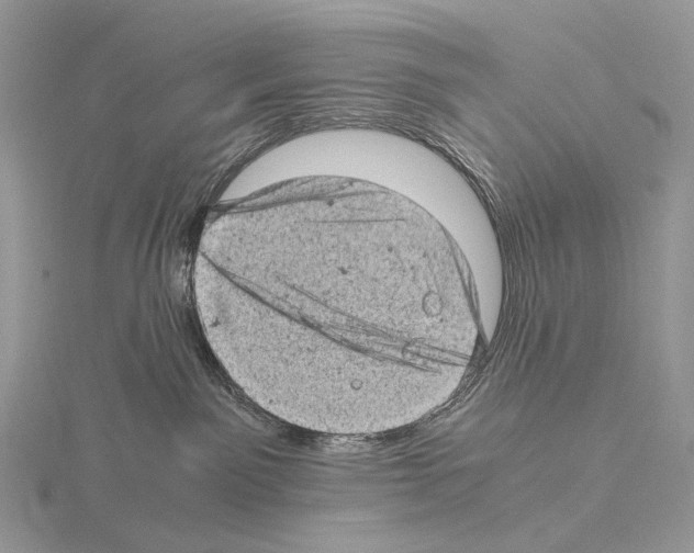 X0000115150141200912081355