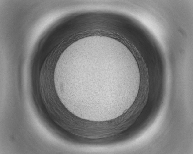 X0000115150142200912081355