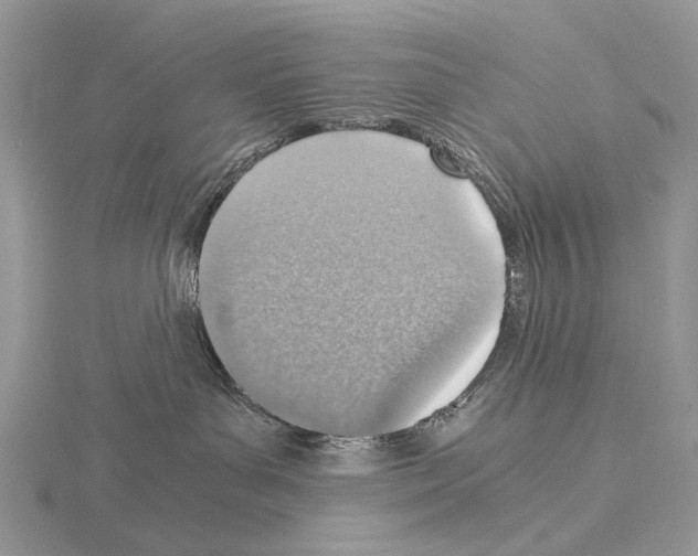 X0000115150143200912081354