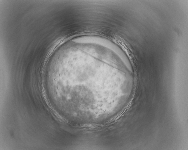 X0000115150145200912081354