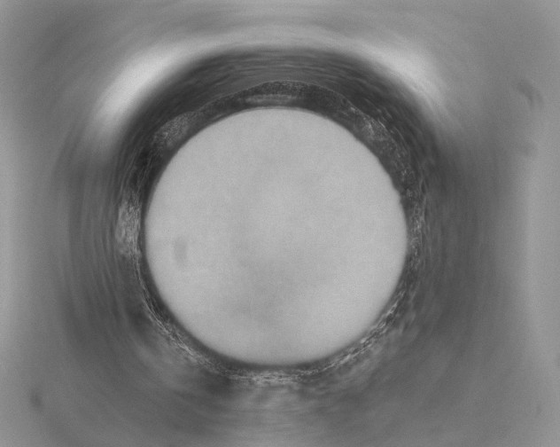 X0000115150146200912081354