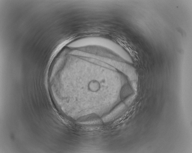 X0000115150147200912081354