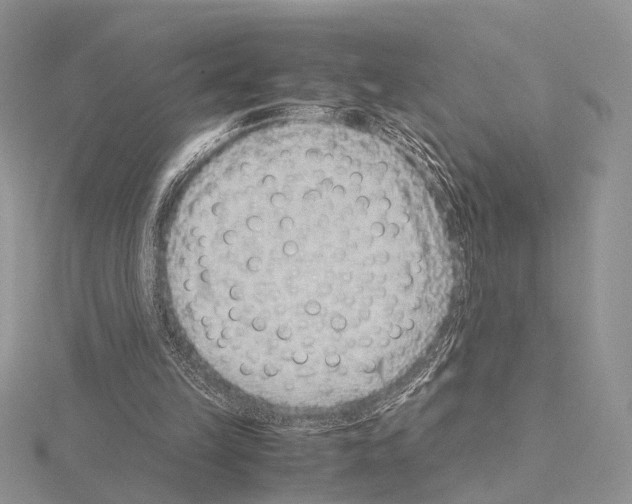 X0000115150149200912081354