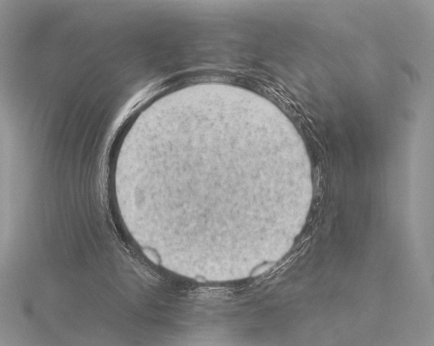 X0000115150150200912081354