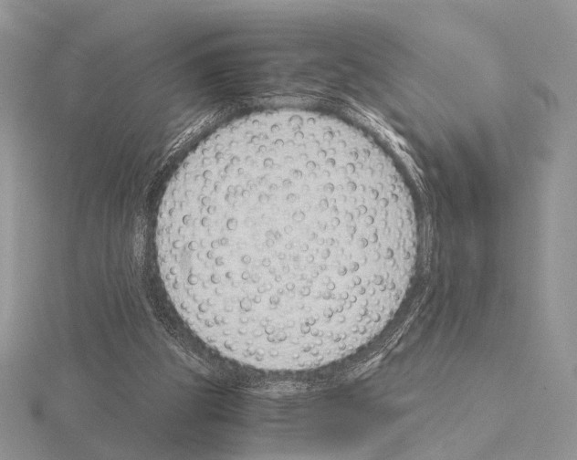 X0000115150153200912081354