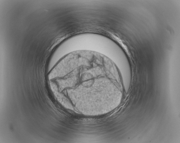 X0000115150154200912081354