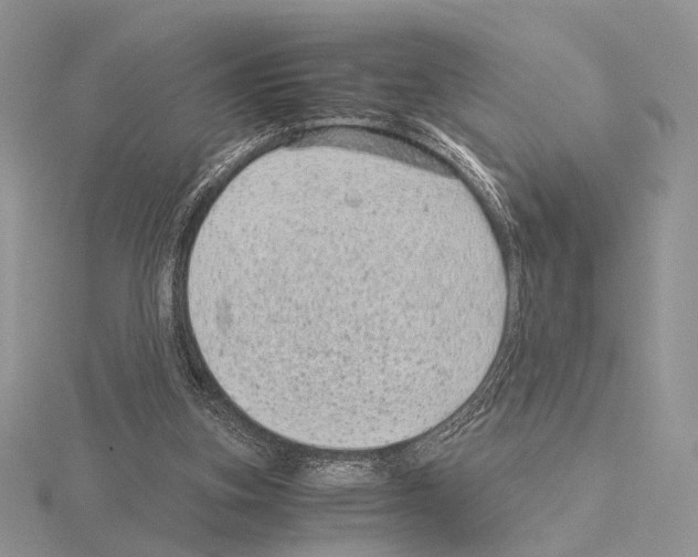 X0000115150155200912081354