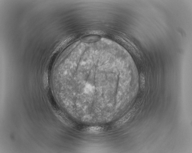 X0000115150158200912081354