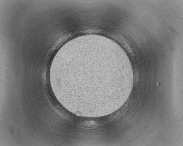 X0000115150159200912081354