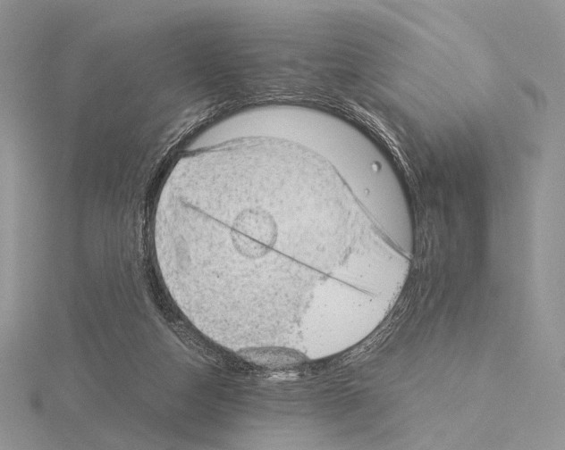 X0000115150162200912081354