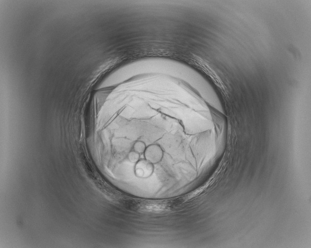 X0000115150163200912081354