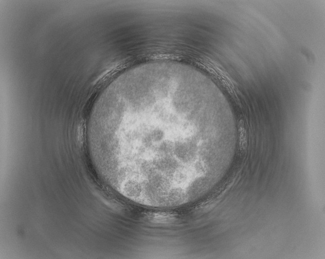 X0000115150165200912081354