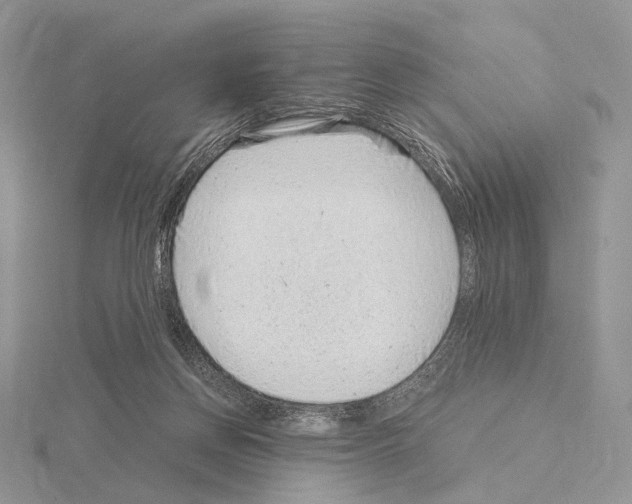 X0000115150166200912081354