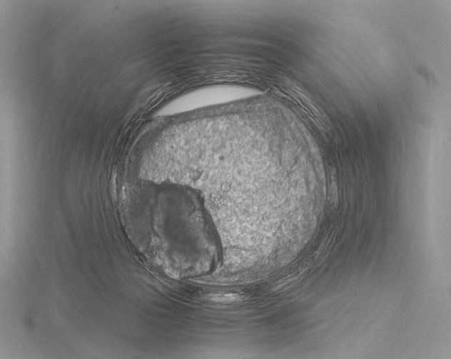 X0000115150169200912081354