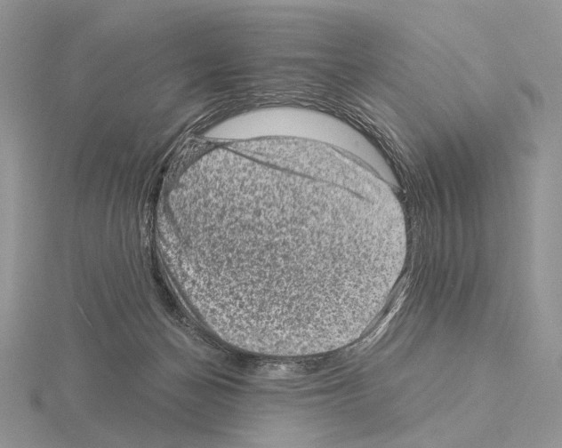 X0000115150174200912081354